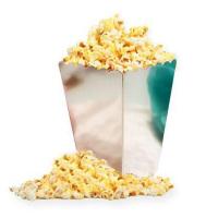 Gümüş Gri Parlak Mısır (Popcorn) Kutusu (8 Adet)