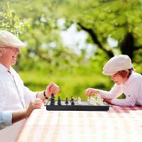 Chess Manyetik Satranç Takımı