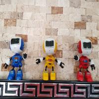 ROBOT KONUŞMALI SES TEKRAR EDEN IŞIKLI METAL ROBOT 13 Cm