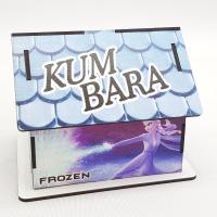 Frozen Ev Kumbara 