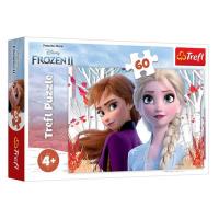 Frozen II Puzzle 60 Parça