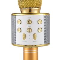 Karaoke Mikrofon Bluetooth Hoparlör Usb Sd Kart ve Aux Girişli - Gold